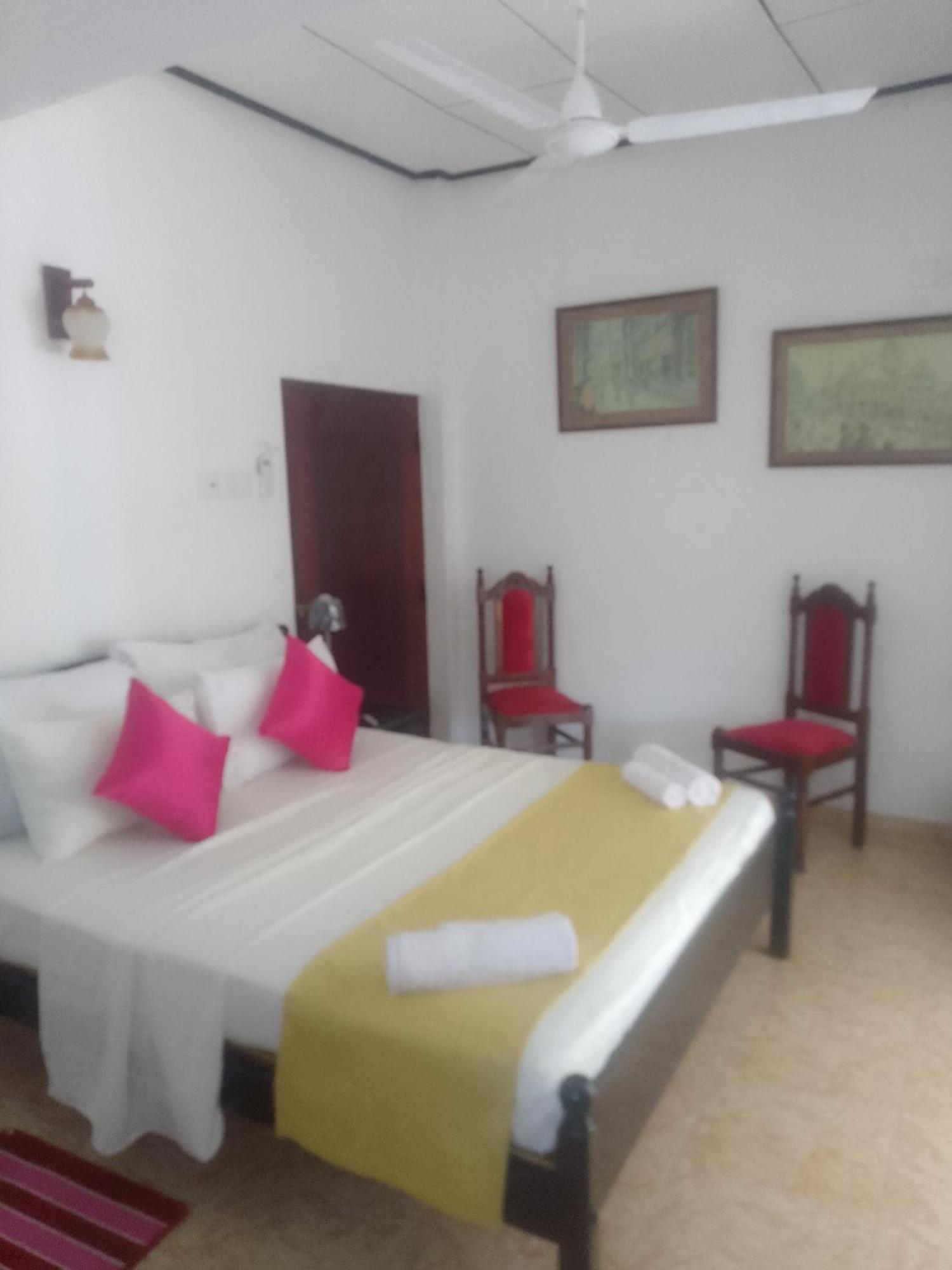Steur Villa Negombo Extérieur photo